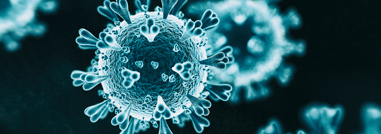 Weighing up potential market impacts from the coronavirus