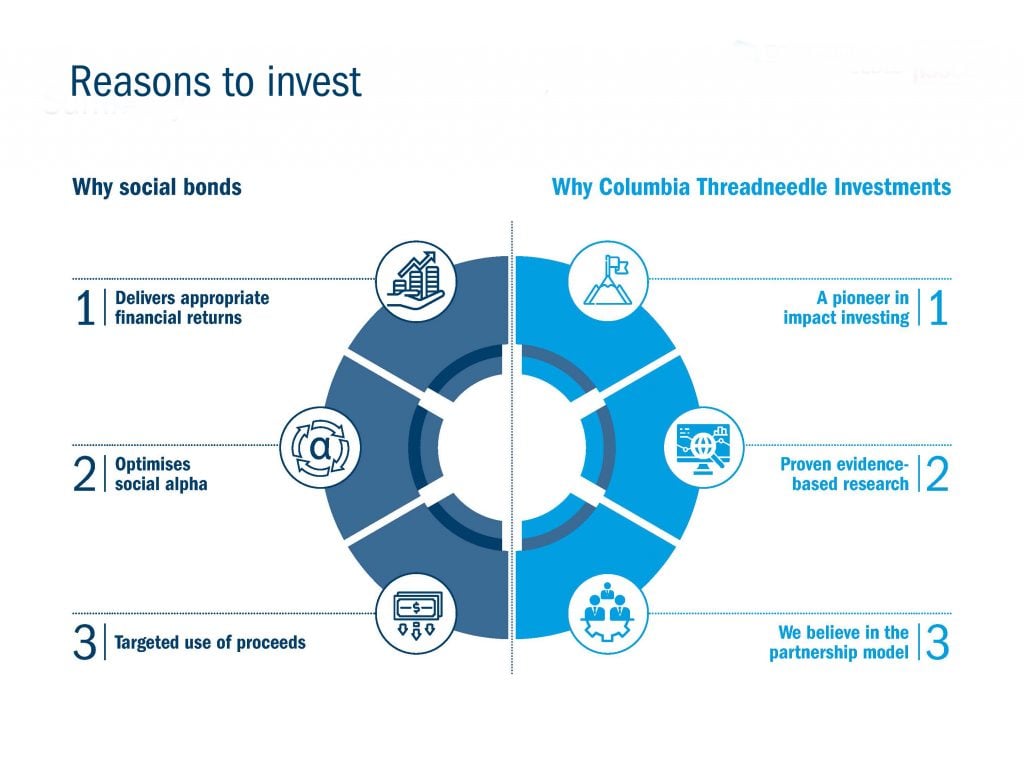 Reasons to invest graph