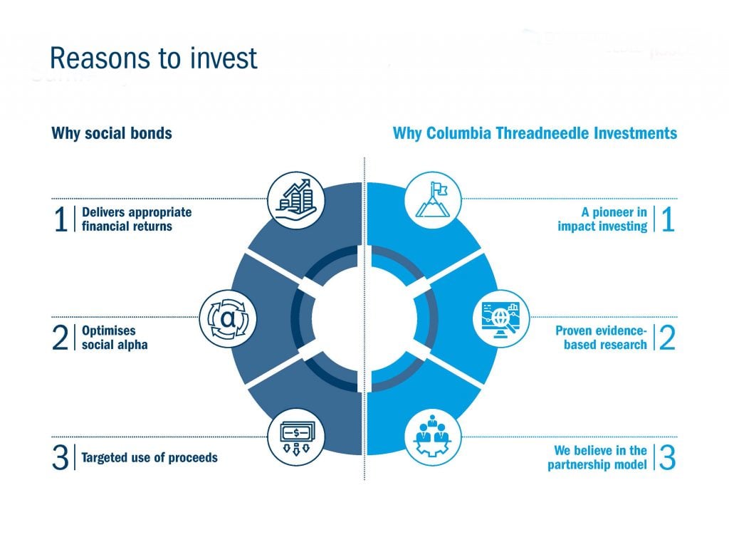 Reasons to invest graph
