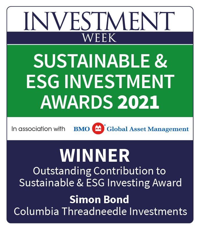 Investment Week Sustainable ESG Awards 2021 Oustanding Contribution Simon Bond
