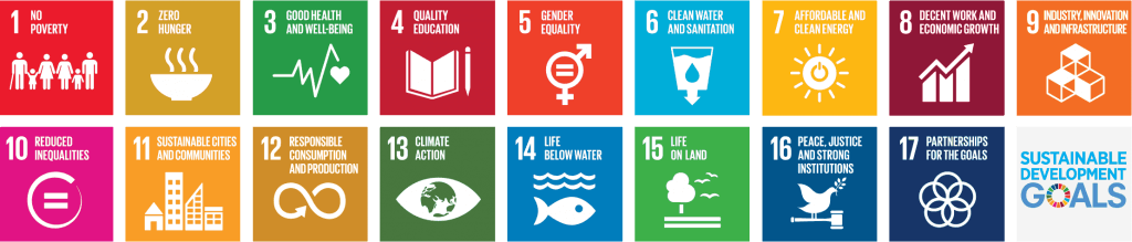 SDG Icons