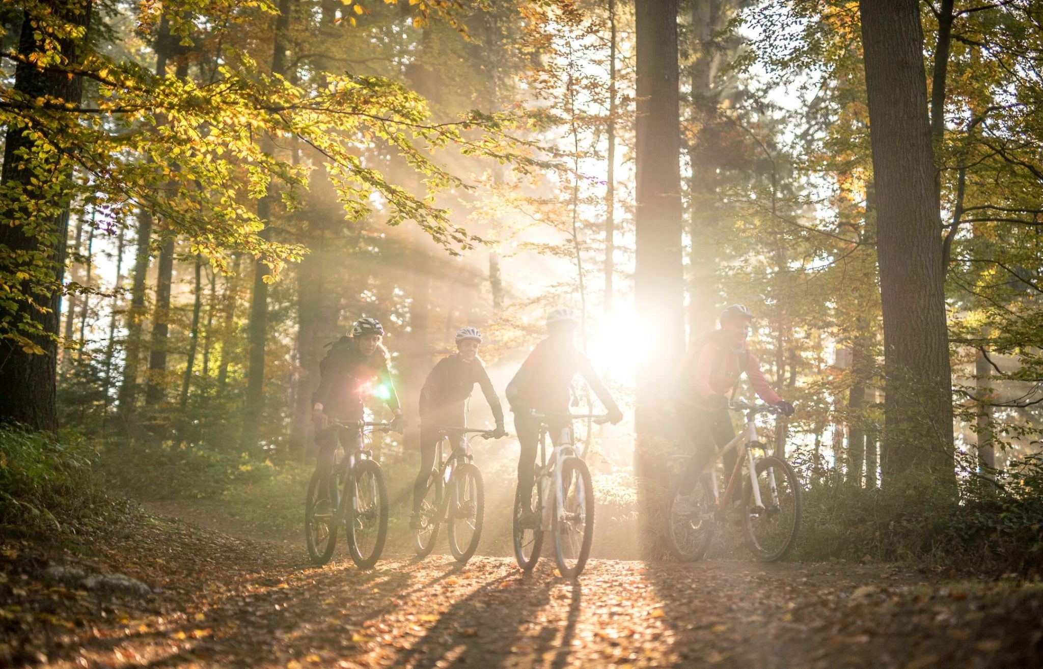 A group of people on a bike trip