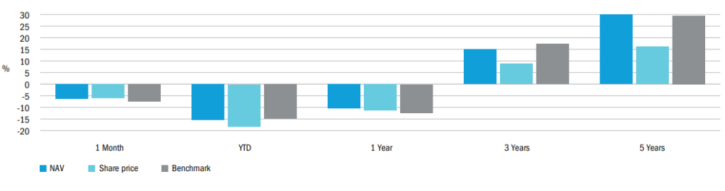 Fund performance The Global Smaller Companies Trust
