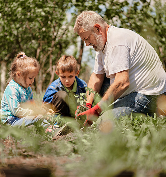 A man and two children are planting plants