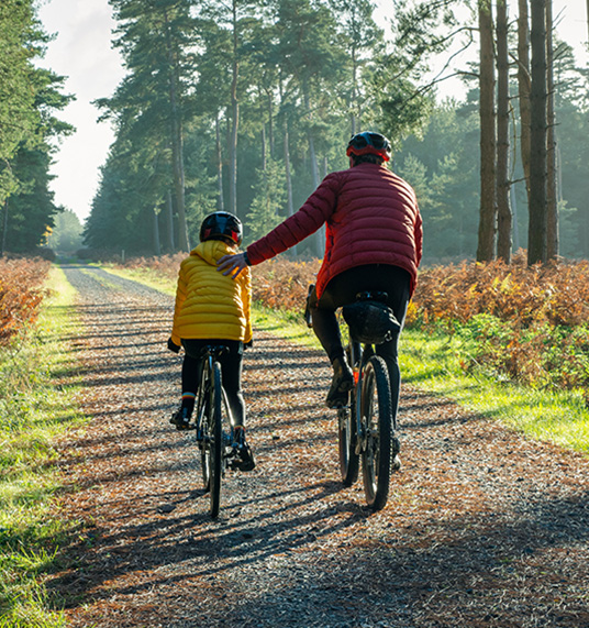 Parent and child ride bicycles