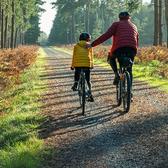 Parent and child ride bicycles