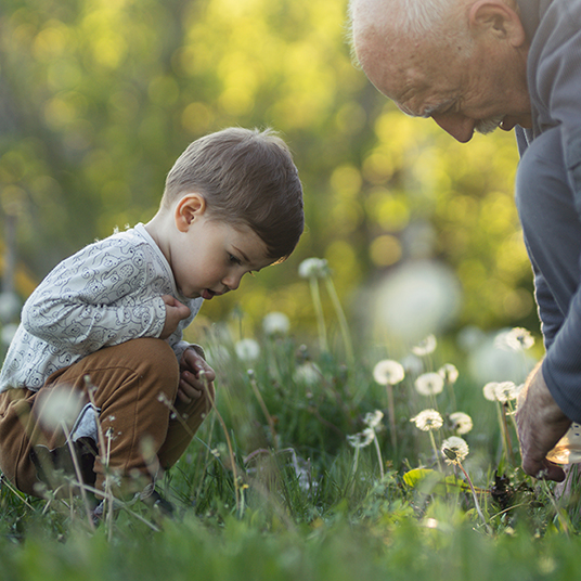 Grandfather with grandson are looking at the grass
