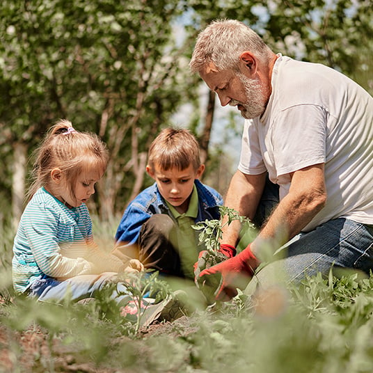 A man and two children are planting plants